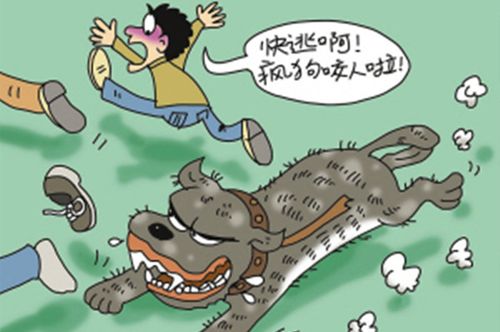 網(wǎng)站收錄在網(wǎng)站優(yōu)化中起到什么作用？