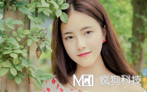 2017年網(wǎng)站推廣的20個(gè)方法策略？