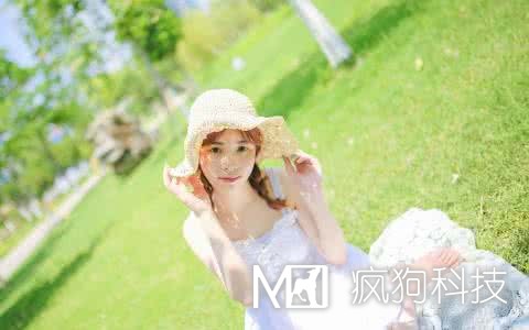 網(wǎng)站SEO優(yōu)化中應該查看哪些數據？