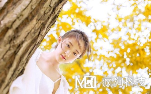 收藏：快速頁(yè)面收錄的六大絕技！